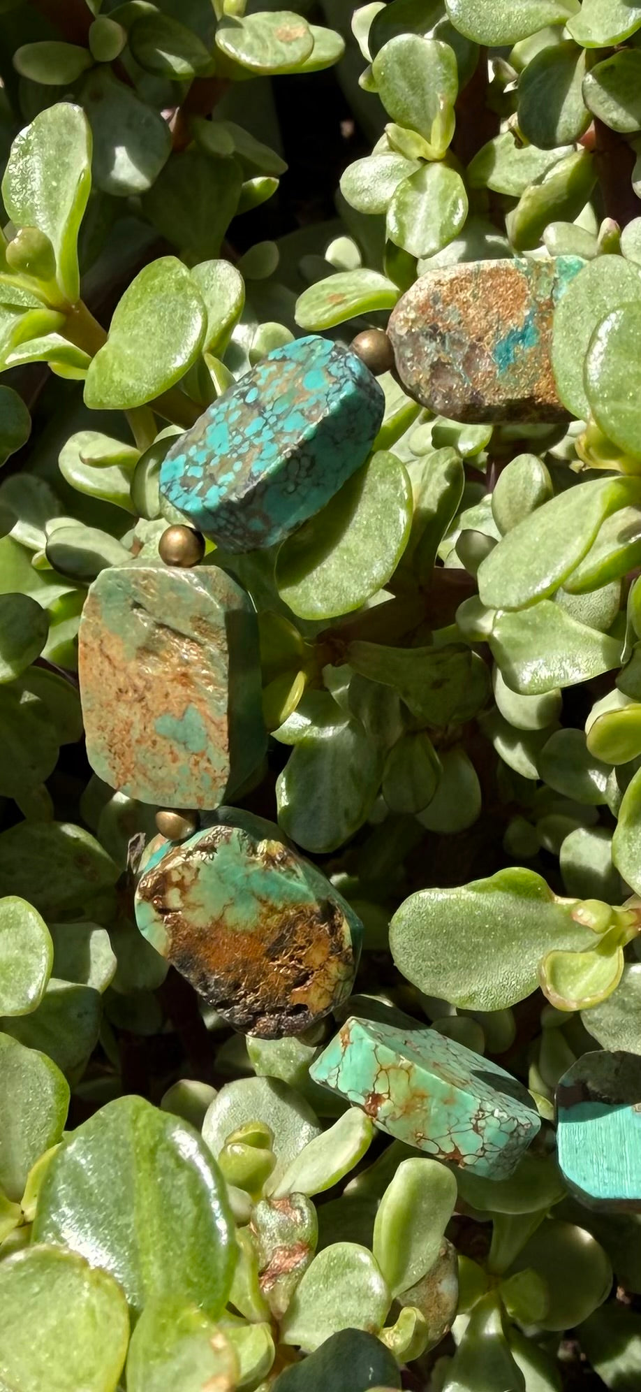Turquoise Time
